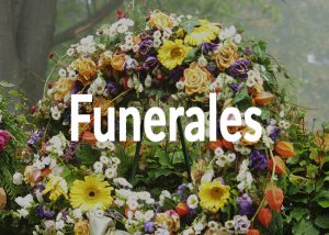 Funerales, coronas, centros, ramos, etc. en Floristería Yedra en Santander.
