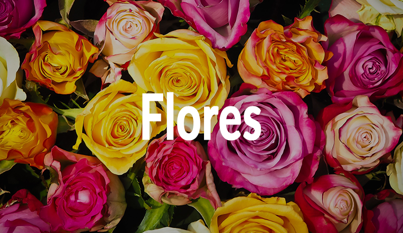 Flores en Floristería Yedra en Santander.